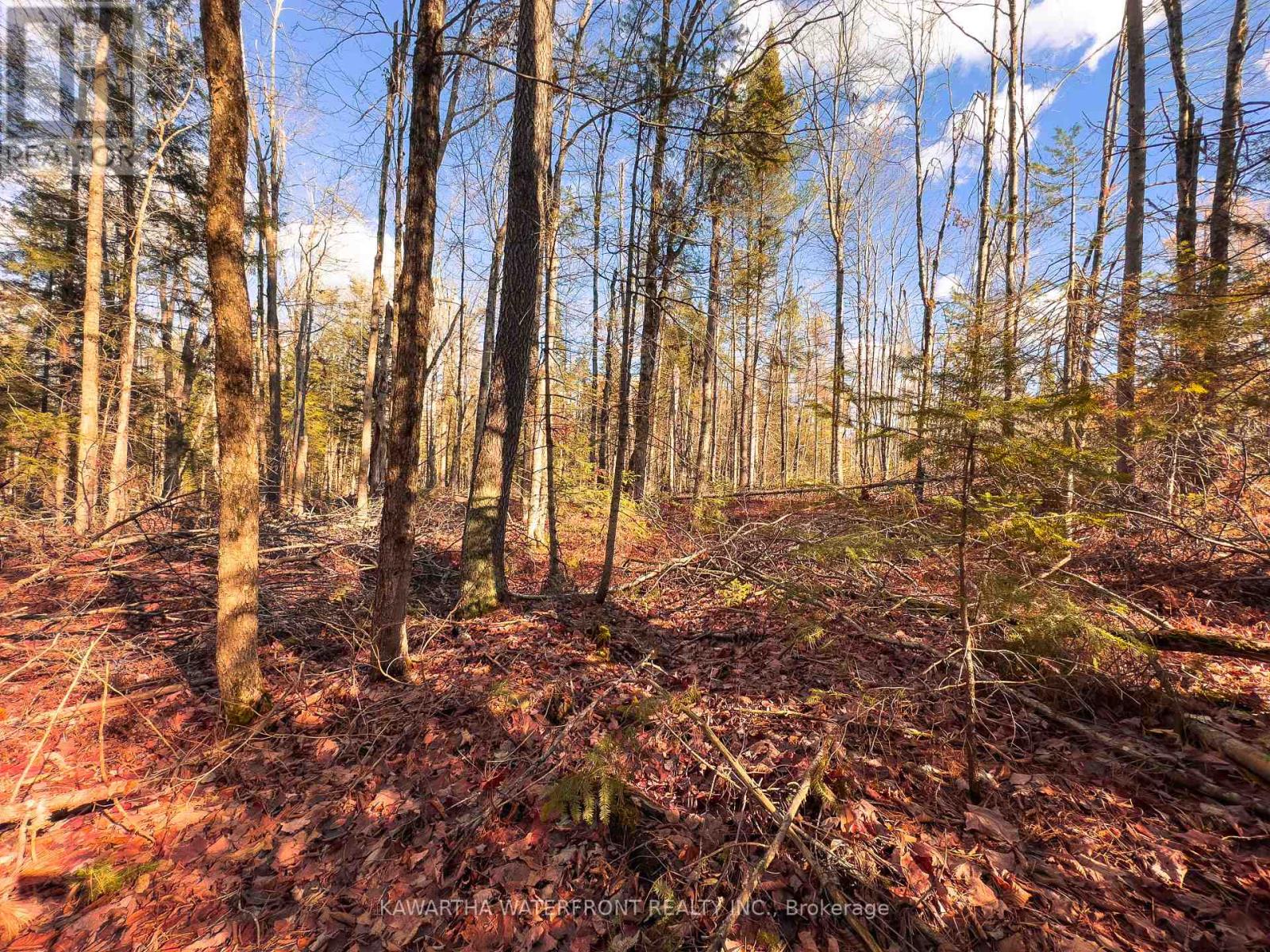 0 Weismuller Lane, Bracebridge, Ontario  P1P 1R3 - Photo 6 - X13121358