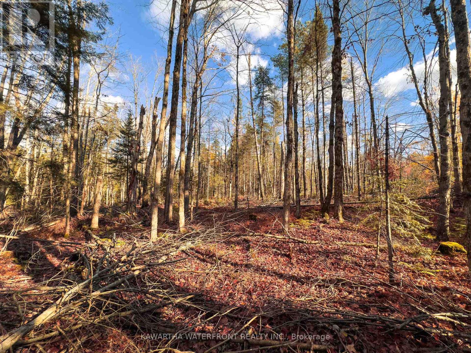 0 Weismuller Lane, Bracebridge, Ontario  P1P 1R3 - Photo 7 - X13121358