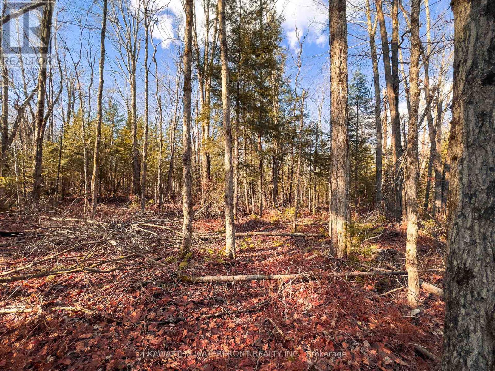 0 Weismuller Lane, Bracebridge, Ontario  P1P 1R3 - Photo 9 - X13121358