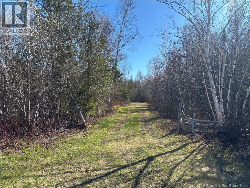 11.98 Acres Chemin Tremblay, Tremblay, New Brunswick  E8J 1A6 - Photo 1 - NB139365