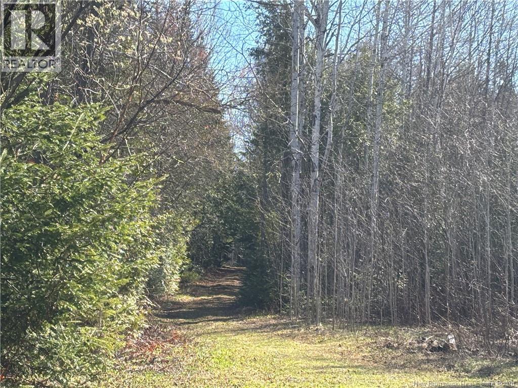 11.98 Acres Chemin Tremblay, Tremblay, New Brunswick  E8J 1A6 - Photo 6 - NB139365