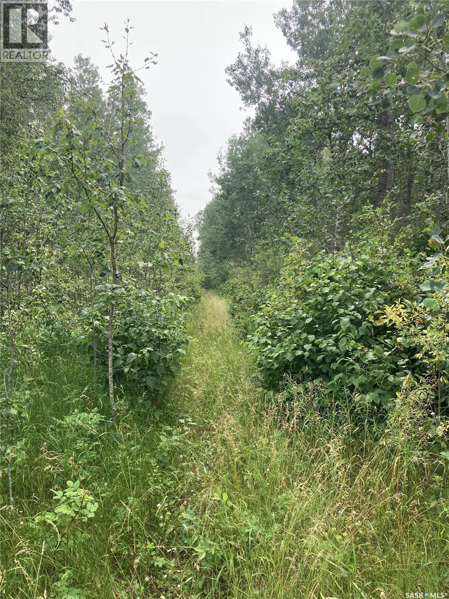 10 Acre Delaronde Lake Acreage, Big River Rm No. 555, Saskatchewan  S0J 0E0 - Photo 7 - SK035719