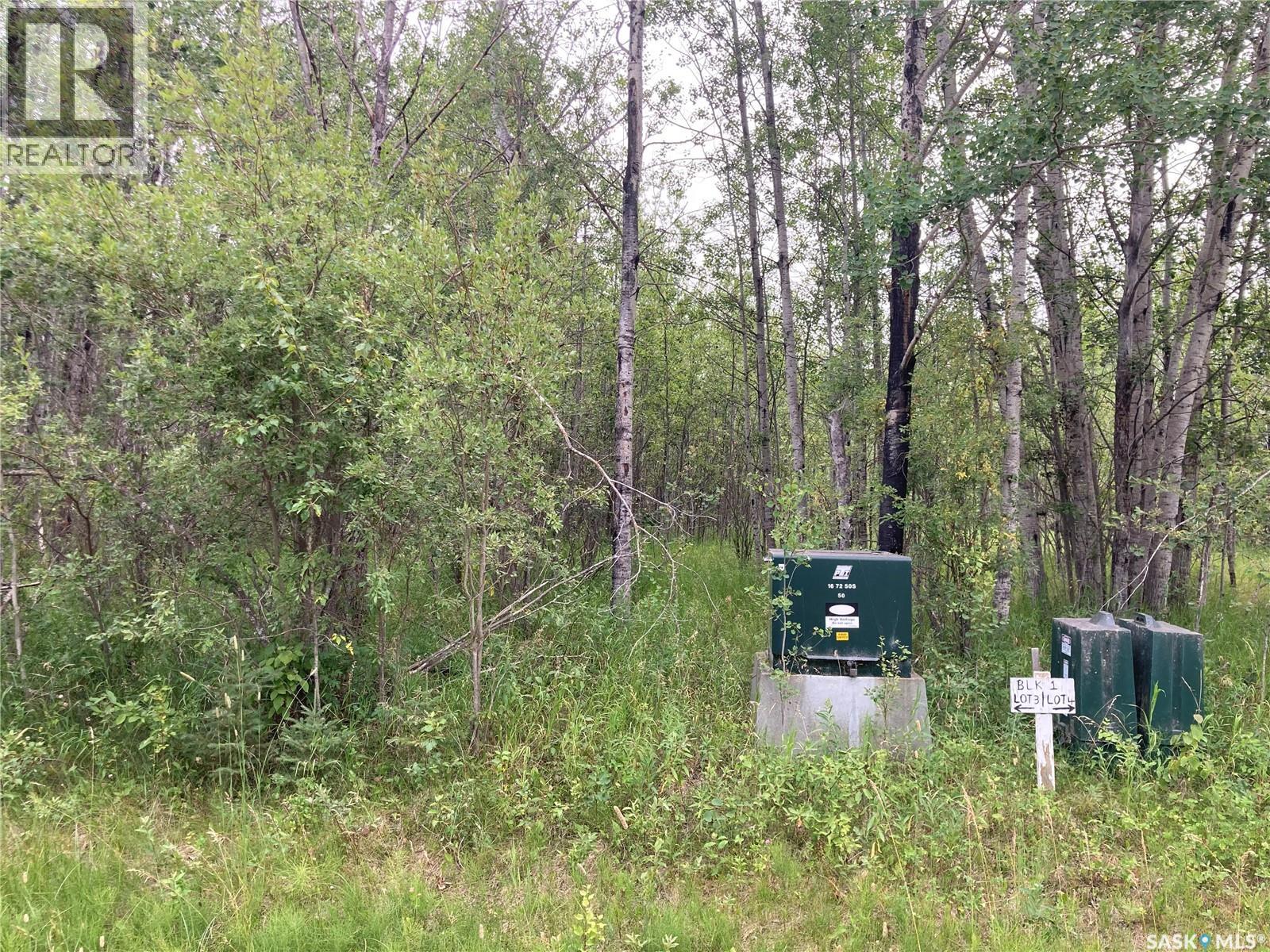 10 Acre Delaronde Lake Acreage, Big River Rm No. 555, Saskatchewan  S0J 0E0 - Photo 4 - SK035719