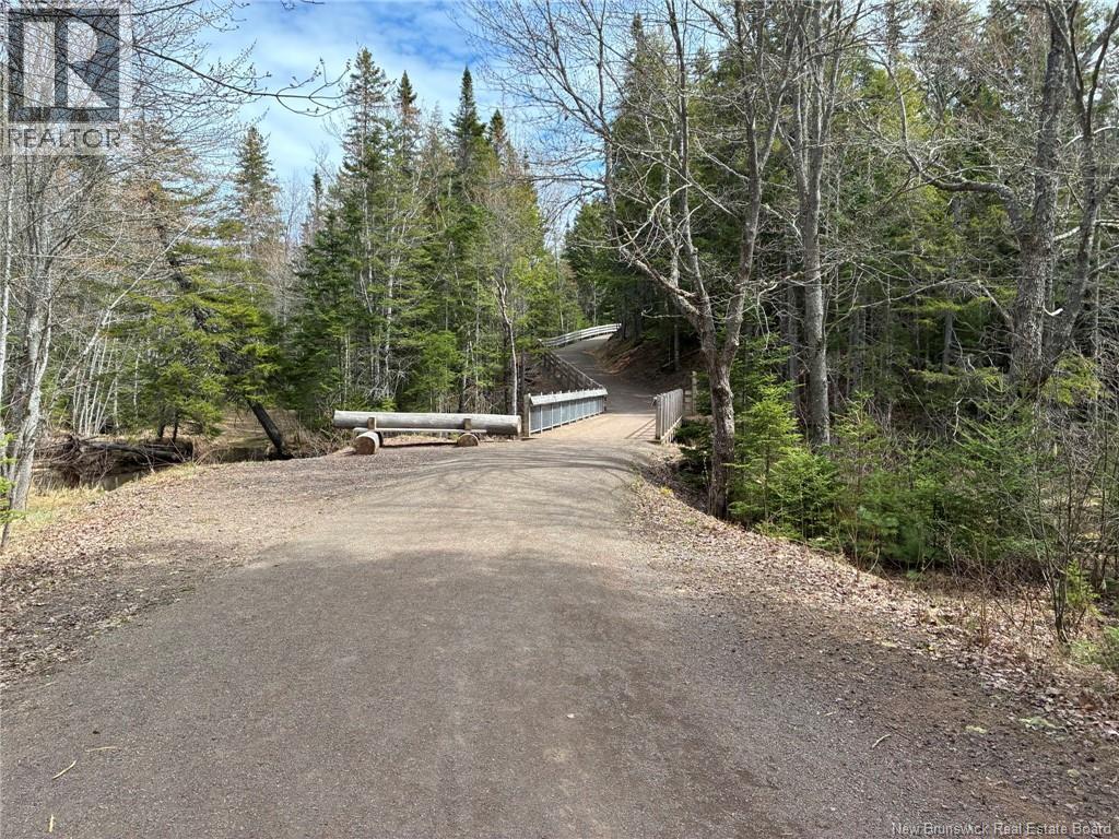 185 Oakfield Drive, Riverview, New Brunswick  E1B 0S7 - Photo 49 - NB139249