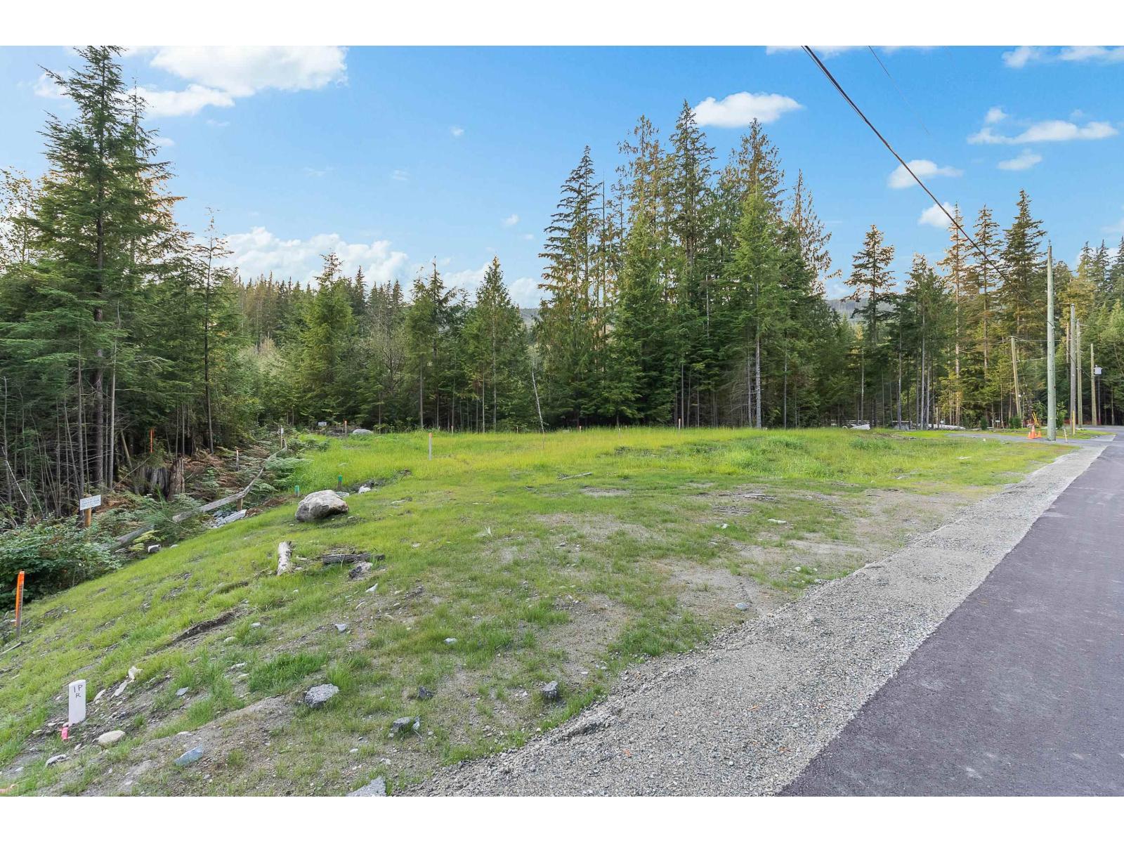 12725 Carr Street, Mission, British Columbia V4S 1B9 - Photo 5 - R3122781