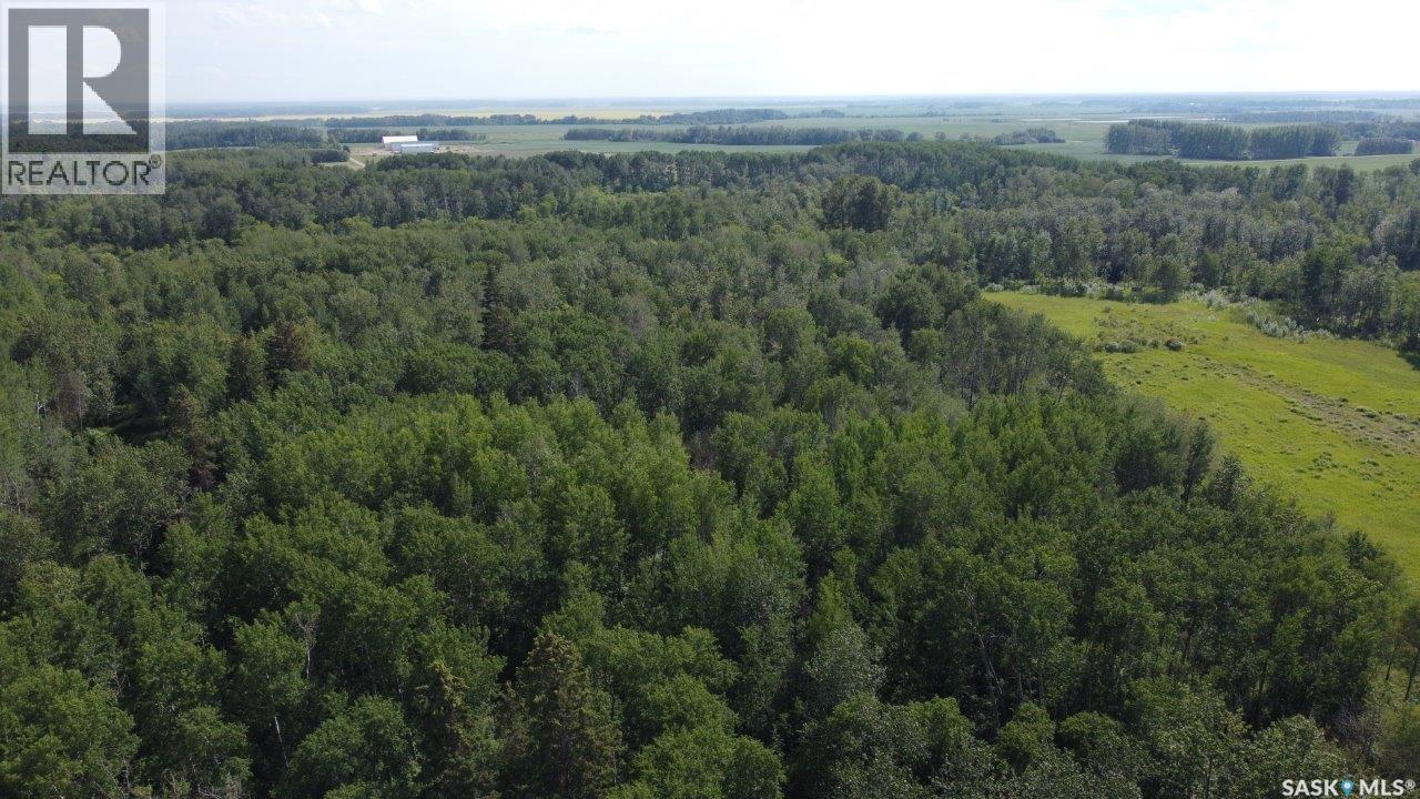 88 Acres Land, Hudson Bay, Saskatchewan  S0E 0Y0 - Photo 1 - SK035730