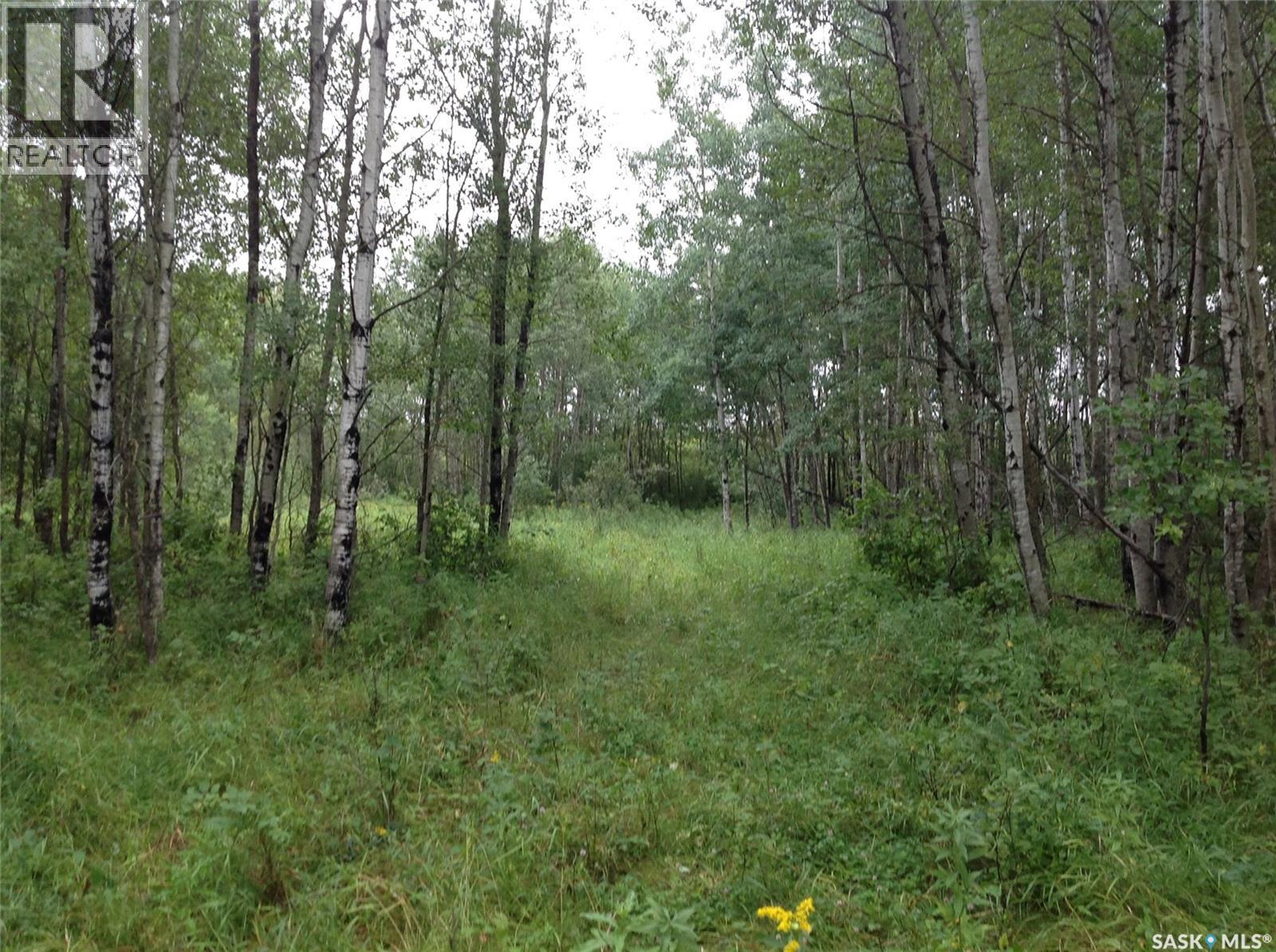 88 Acres Land, Hudson Bay, Saskatchewan  S0E 0Y0 - Photo 5 - SK035730
