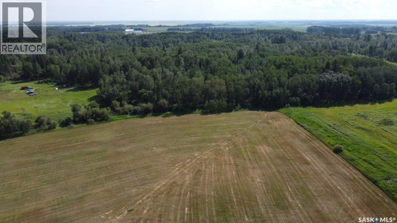 88 Acres Land, Hudson Bay, Saskatchewan  S0E 0Y0 - Photo 8 - SK035730
