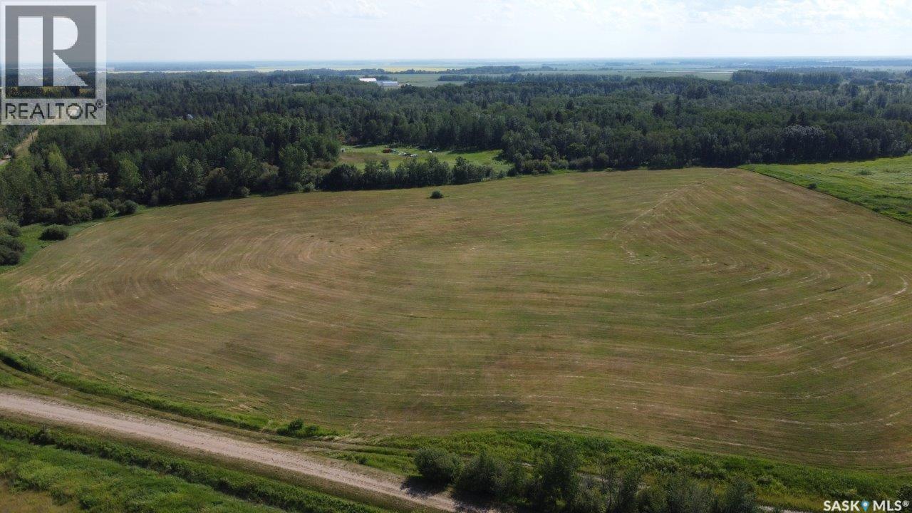 88 Acres Land, Hudson Bay, Saskatchewan  S0E 0Y0 - Photo 9 - SK035730