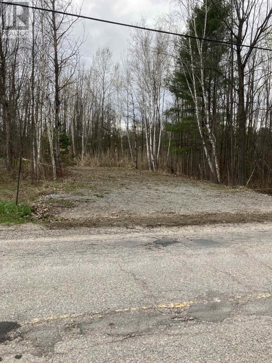 106 Perth Street, Rideau Lakes, Ontario  K0G 1E0 - Photo 4 - X13121910