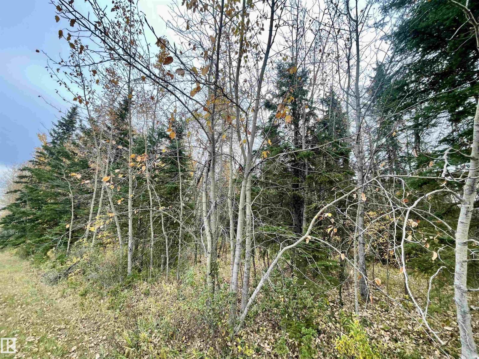 3 Pleasant Valley AC, Rural Wetaskiwin County, Alberta