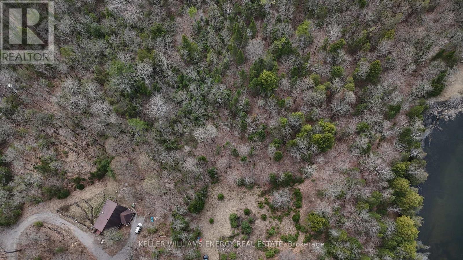 1805 Bay Lake Road, Faraday, Ontario  K0L 1C0 - Photo 3 - X13121772