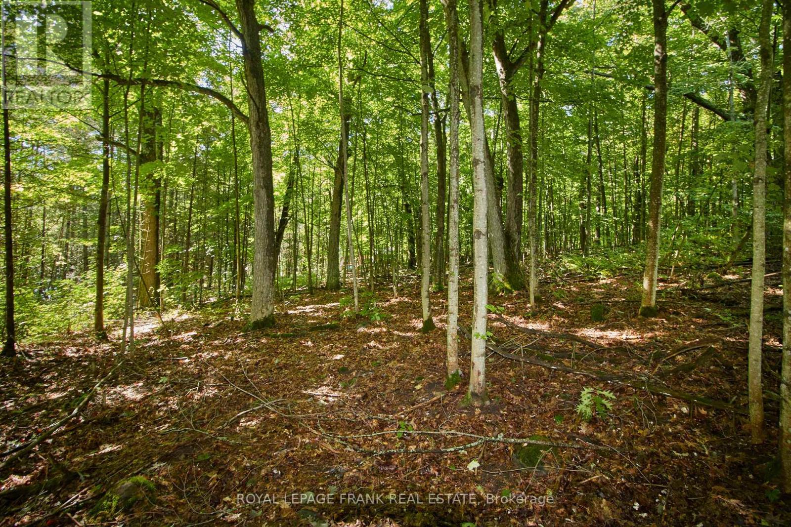 2a Whites Island, Alnwick/haldimand, Ontario  K0K 2X0 - Photo 32 - X13121796