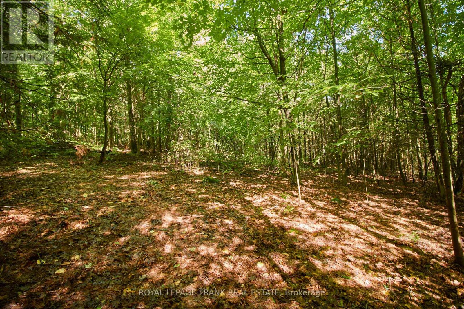2a Whites Island, Alnwick/haldimand, Ontario  K0K 2X0 - Photo 33 - X13121796