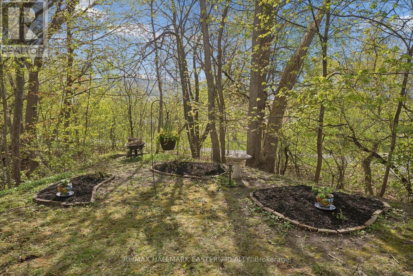 301 Engleburn Avenue, Peterborough, Ontario  K9H 1S8 - Photo 39 - X13120836