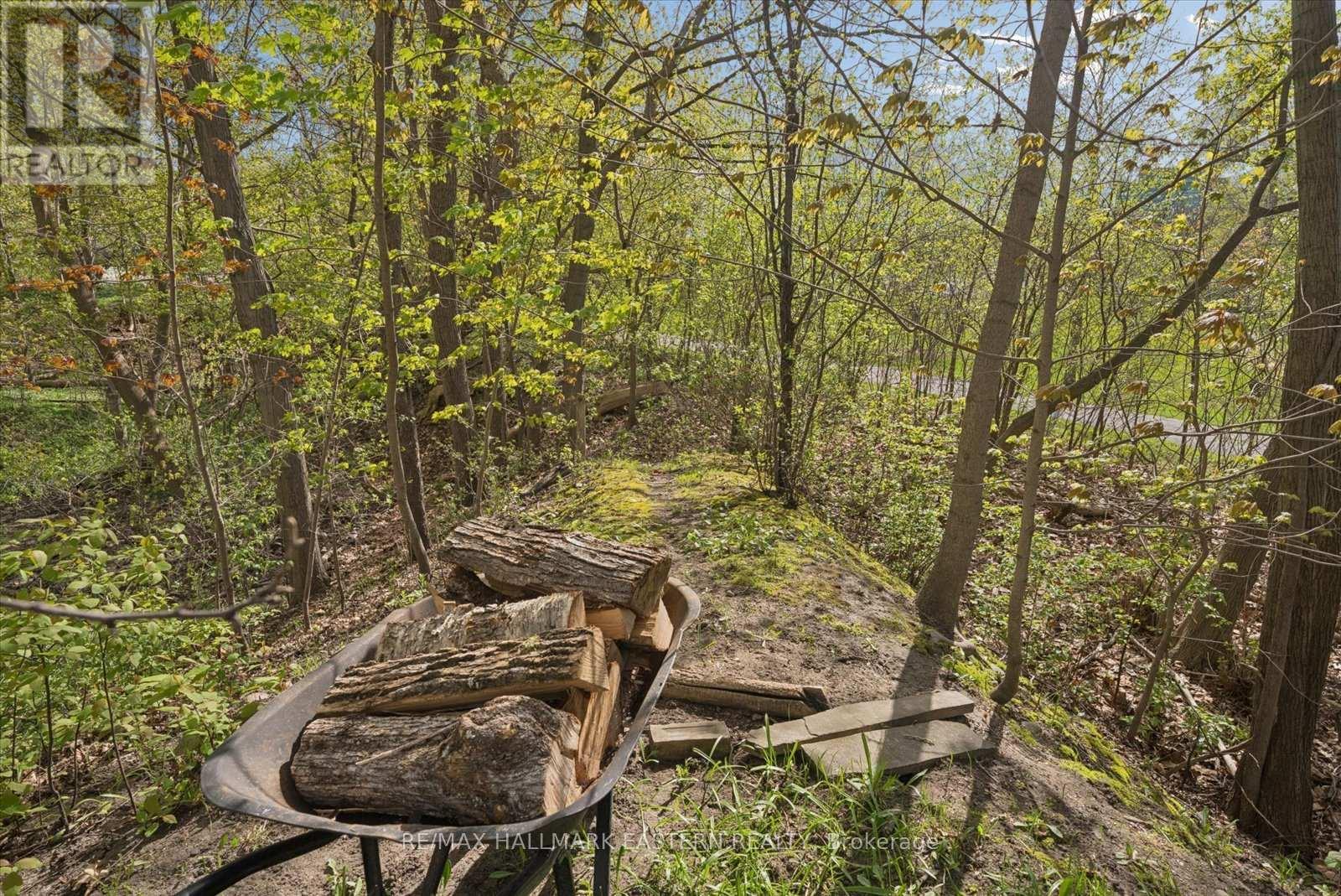 301 Engleburn Avenue, Peterborough, Ontario  K9H 1S8 - Photo 40 - X13120836