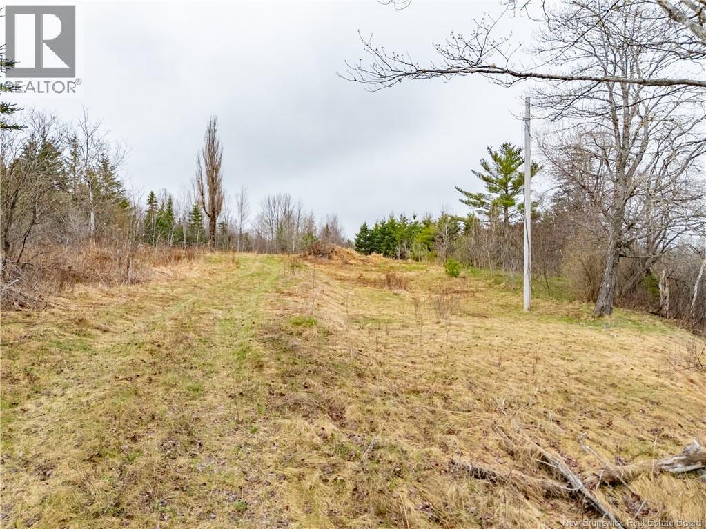 2997 Route 3 Hwy, Harvey, New Brunswick  E6K 1J1 - Photo 1 - NB139399