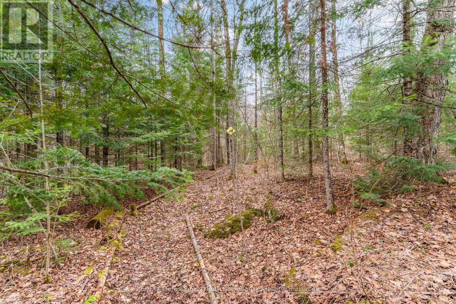 2041 Glamor Lake Road, Highlands East, Ontario K0M 1R0 - Photo 35 - X13122288