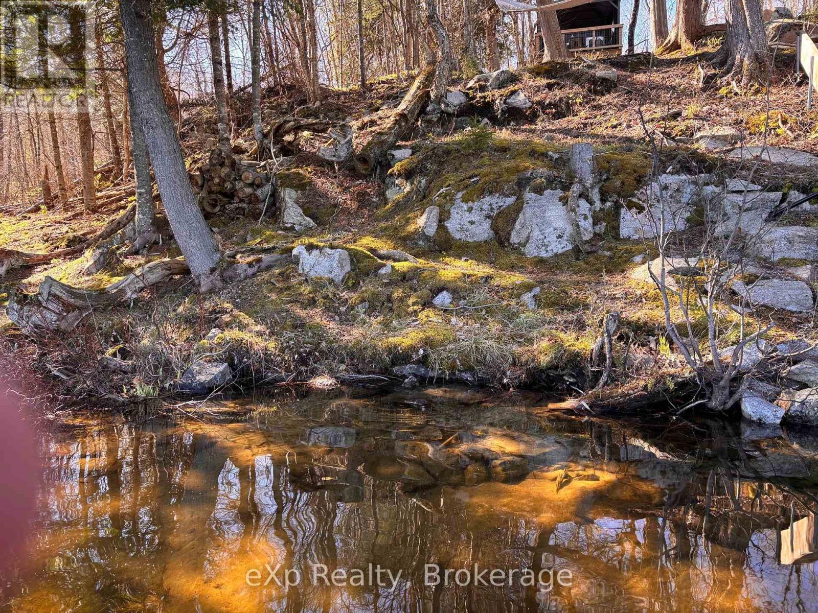 265 Meadowland Road, Parry Sound Remote Area, Ontario  P0H 1A0 - Photo 19 - X13122500