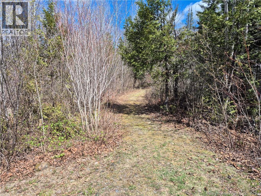 1748 Route 315, Dunlop, New Brunswick  E8K 2P3 - Photo 13 - NB134814