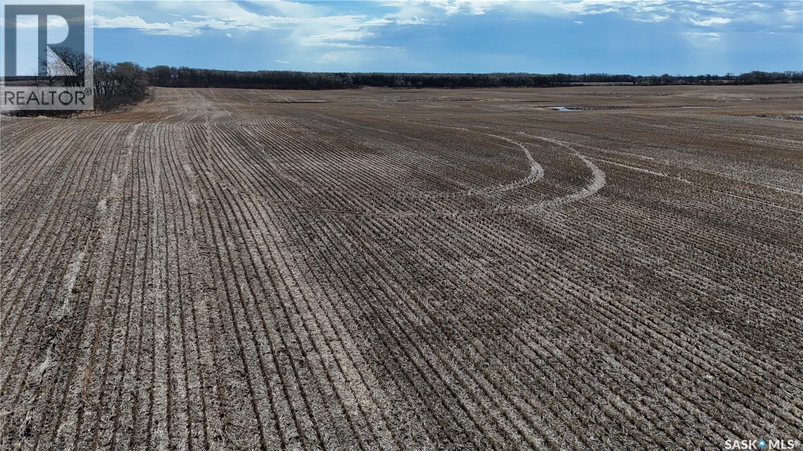 Zehner Quarter - NW 16-19-18 W2, Edenwold Rm No.158, Saskatchewan  S0G 3Z0 - Photo 8 - SK035725