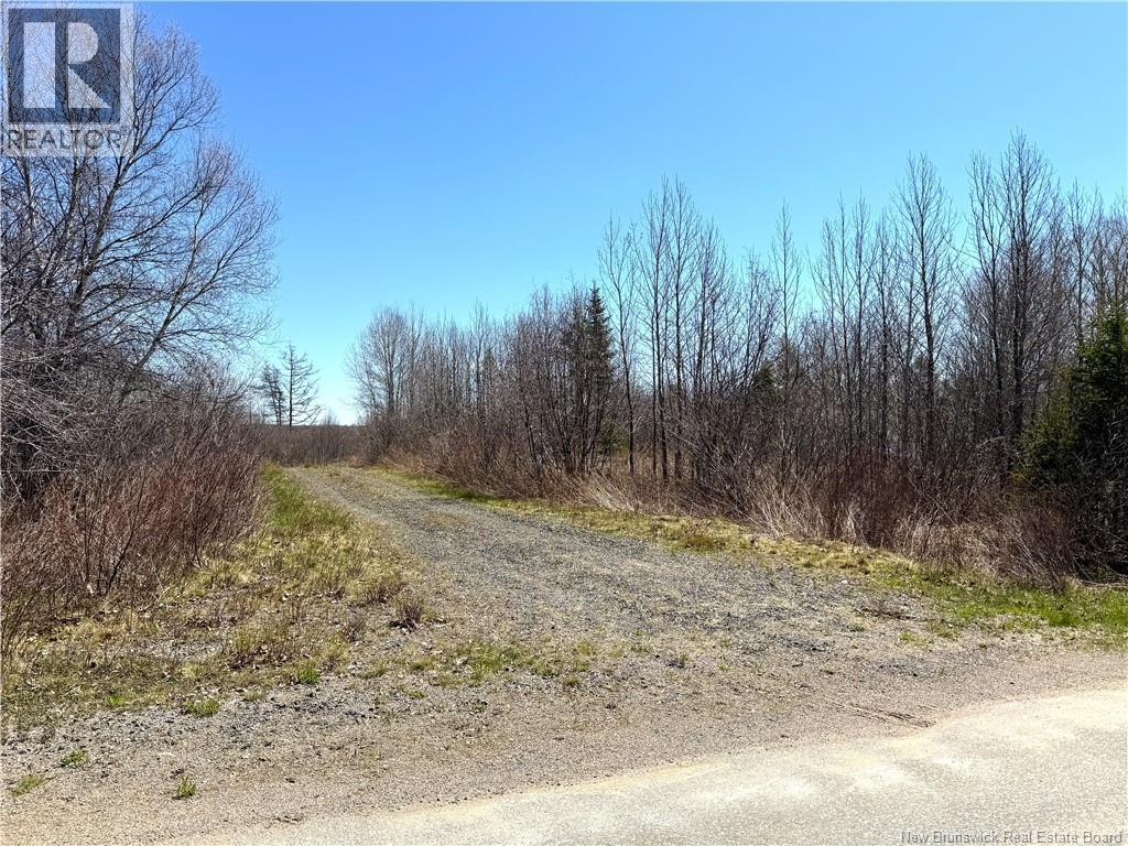 16 Letang Road, Upper Letang, New Brunswick  E5C 2C4 - Photo 13 - NB139234