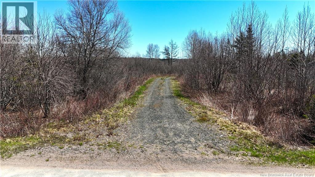 16 Letang Road, Upper Letang, New Brunswick  E5C 2C4 - Photo 14 - NB139234