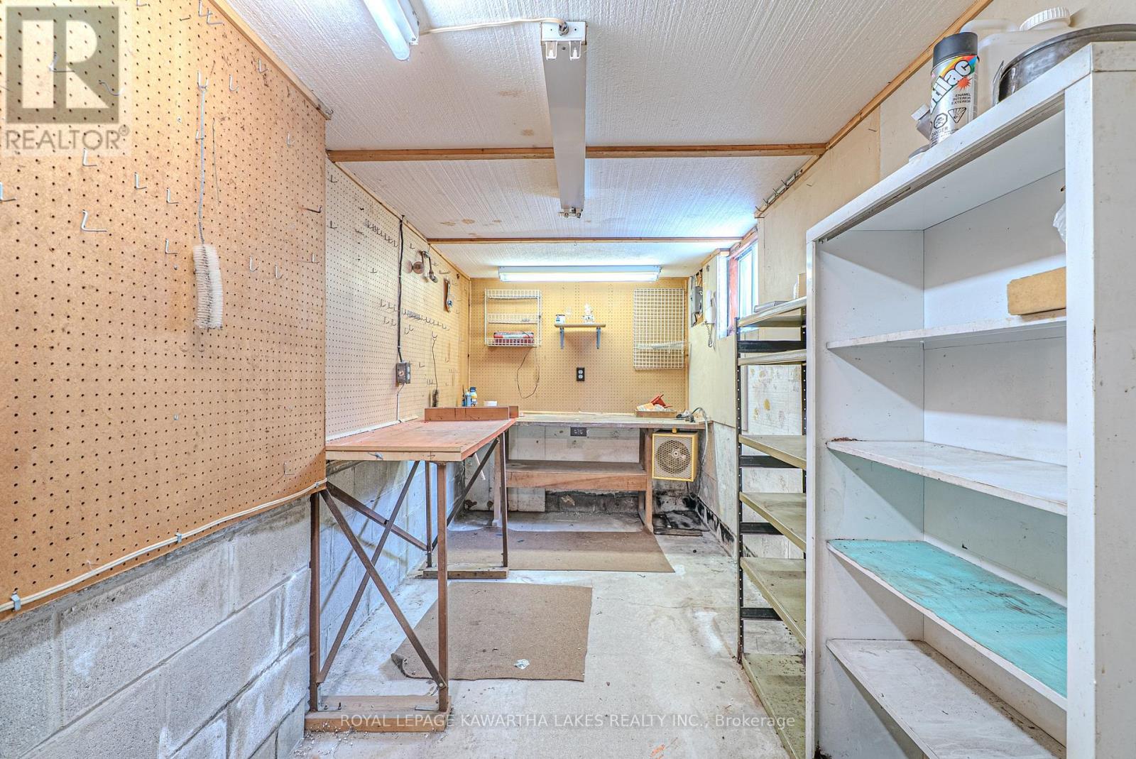 89 Angeline Street S, Kawartha Lakes, Ontario  K9V 3L4 - Photo 27 - X12615912
