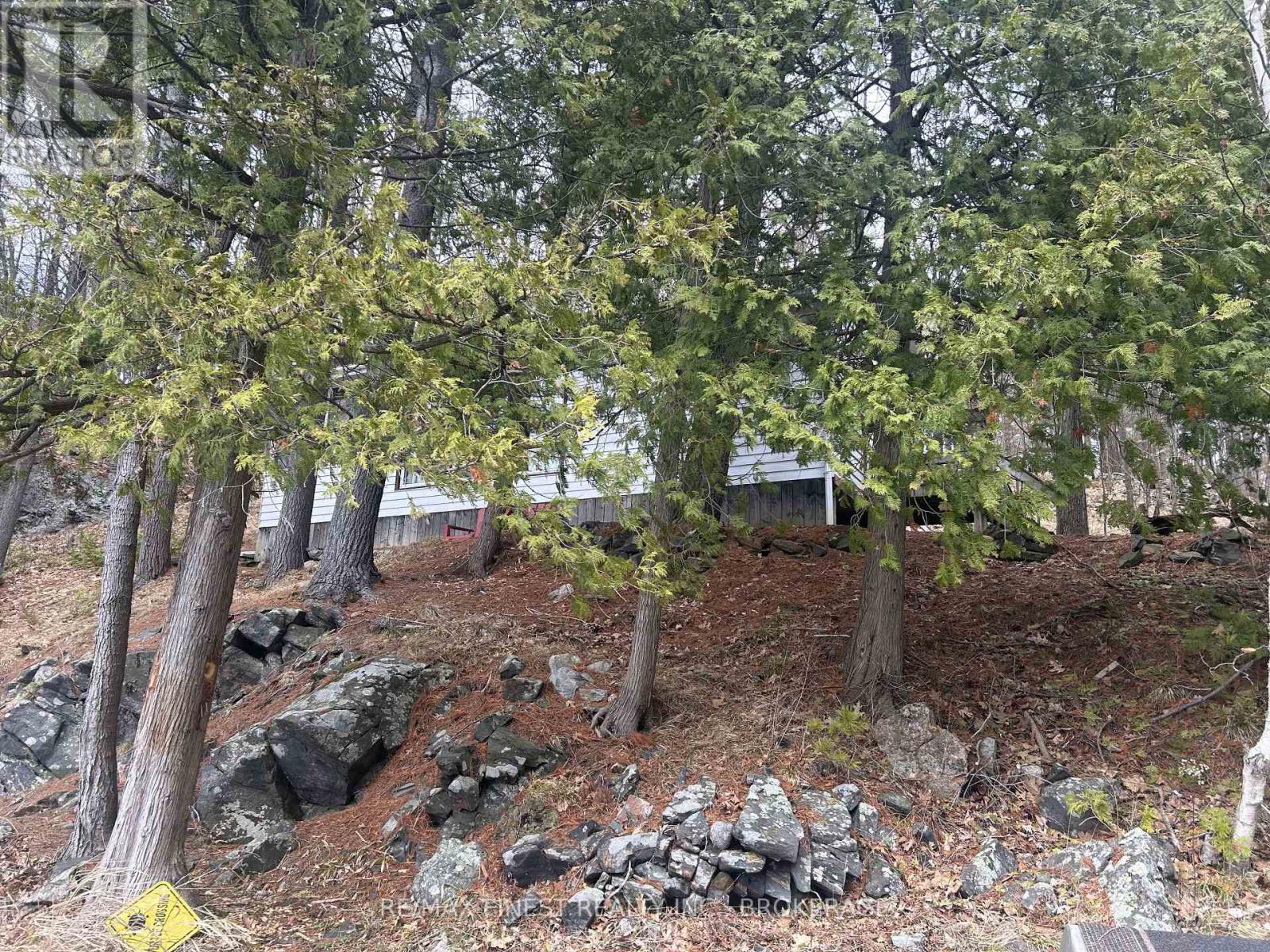 1134 Nelson Road, Frontenac, Ontario  K0H 2P0 - Photo 3 - X13115122