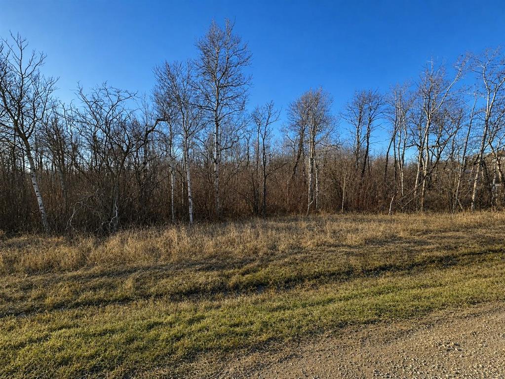 0 Loewen Boulevard, Steinbach, Manitoba  R0A 0W0 - Photo 0 - 202606546