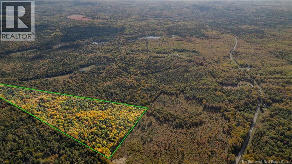 Lot Clatter Road, Rollingdam, New Brunswick  E5A 2Y9 - Photo 3 - NB127781