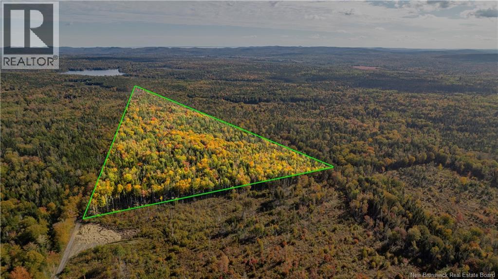 Lot Clatter Road, Rollingdam, New Brunswick  E5A 2Y9 - Photo 1 - NB127781