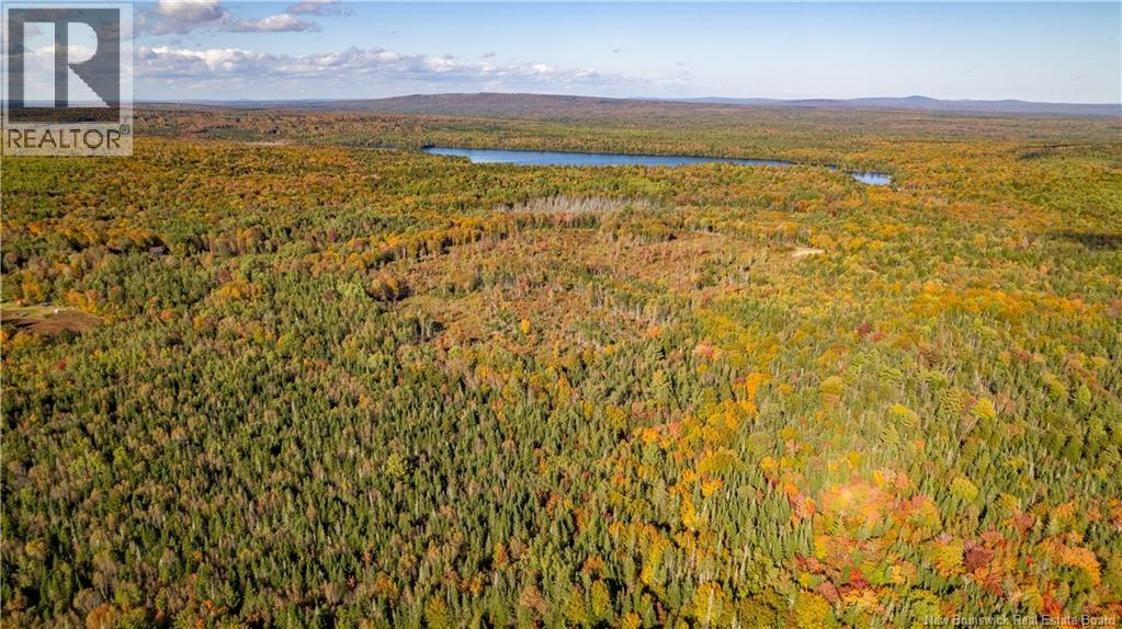 Lot Clatter Road, Rollingdam, New Brunswick  E5A 2Y9 - Photo 16 - NB127781