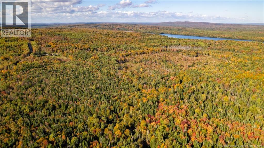 Lot Clatter Road, Rollingdam, New Brunswick  E5A 2Y9 - Photo 17 - NB127781