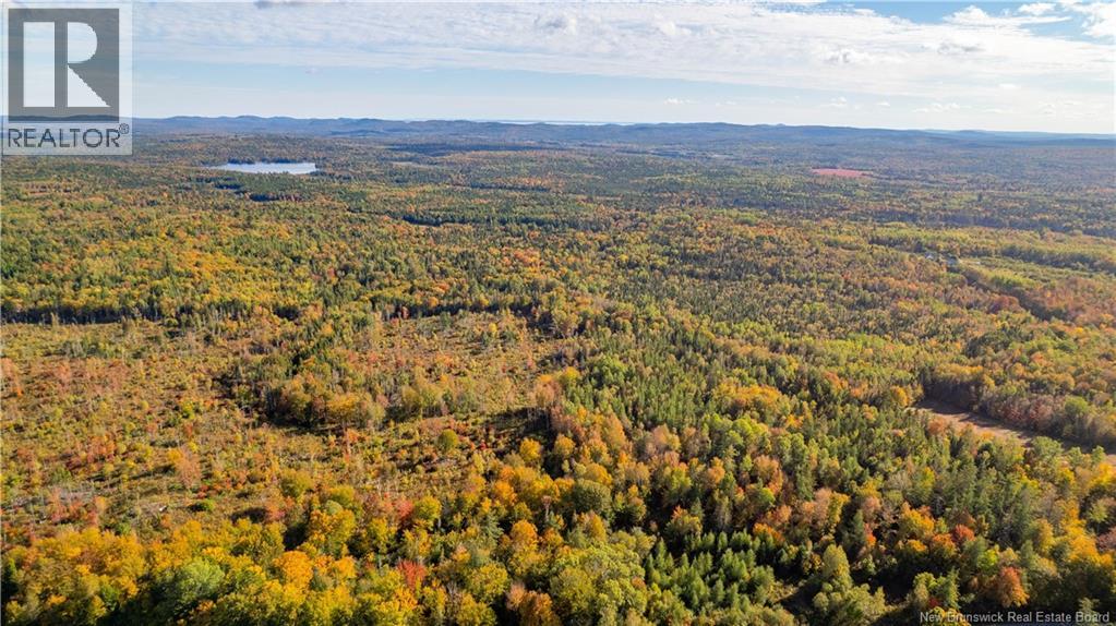 Lot Clatter Road, Rollingdam, New Brunswick  E5A 2Y9 - Photo 22 - NB127781