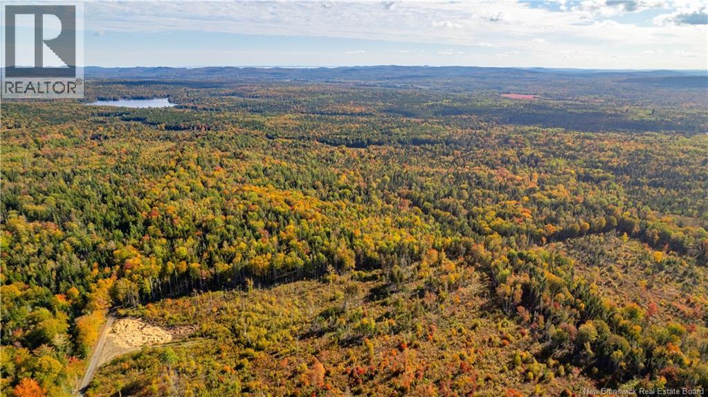 Lot Clatter Road, Rollingdam, New Brunswick  E5A 2Y9 - Photo 27 - NB127781