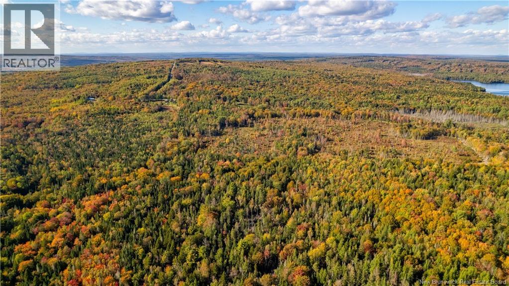 Lot Clatter Road, Rollingdam, New Brunswick  E5A 2Y9 - Photo 20 - NB127781