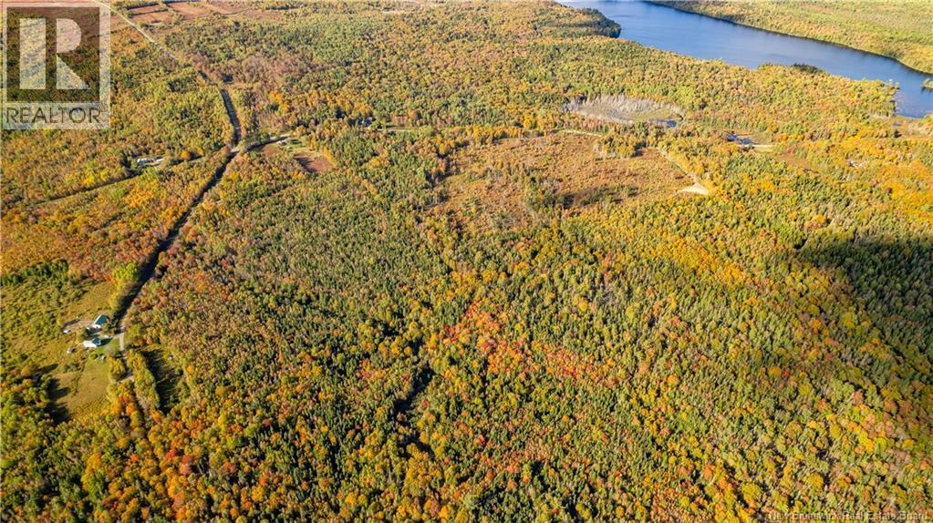 Lot Clatter Road, Rollingdam, New Brunswick  E5A 2Y9 - Photo 33 - NB127781