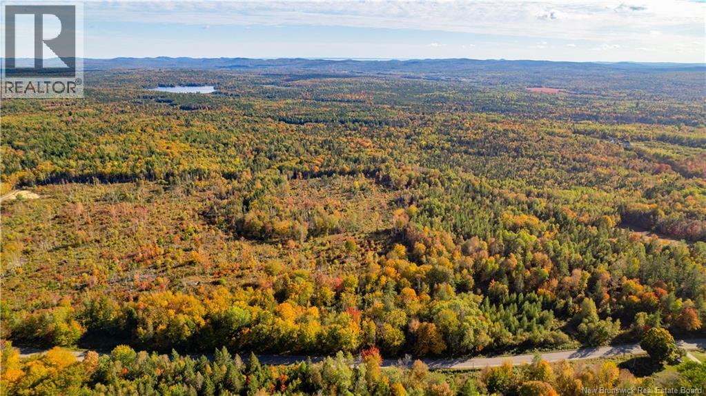 Lot Clatter Road, Rollingdam, New Brunswick  E5A 2Y9 - Photo 21 - NB127781