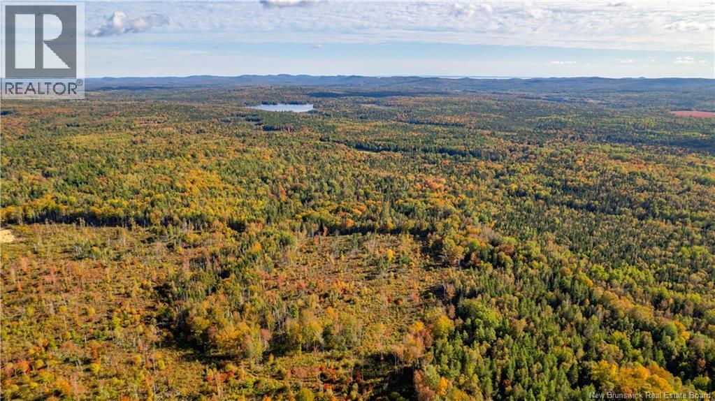 Lot Clatter Road, Rollingdam, New Brunswick  E5A 2Y9 - Photo 24 - NB127781