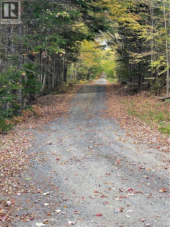 Lot Clatter Road, Rollingdam, New Brunswick  E5A 2Y9 - Photo 8 - NB127781