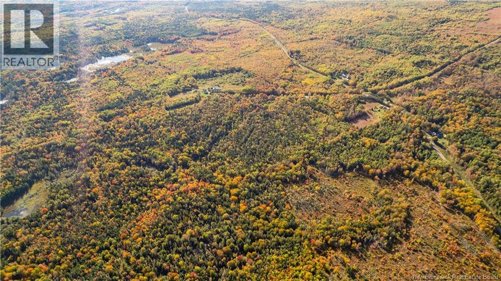Lot Clatter Road, Rollingdam, New Brunswick  E5A 2Y9 - Photo 36 - NB127781