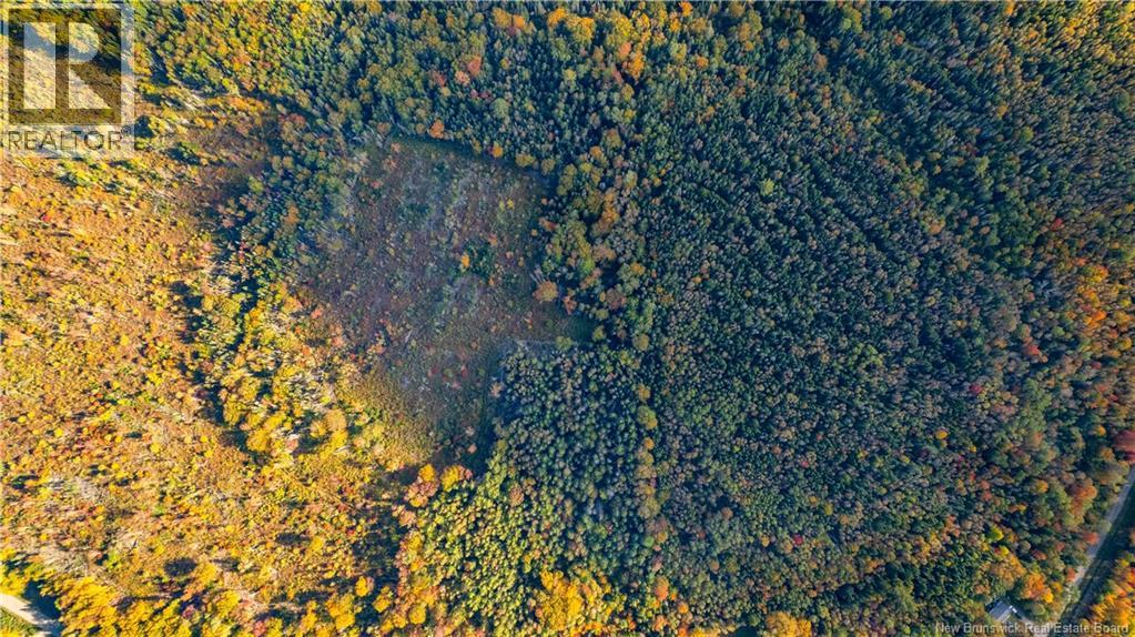 Lot Clatter Road, Rollingdam, New Brunswick  E5A 2Y9 - Photo 30 - NB127781