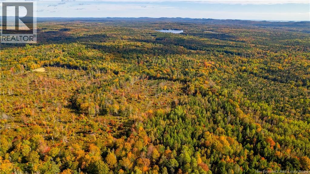 Lot Clatter Road, Rollingdam, New Brunswick  E5A 2Y9 - Photo 9 - NB127781