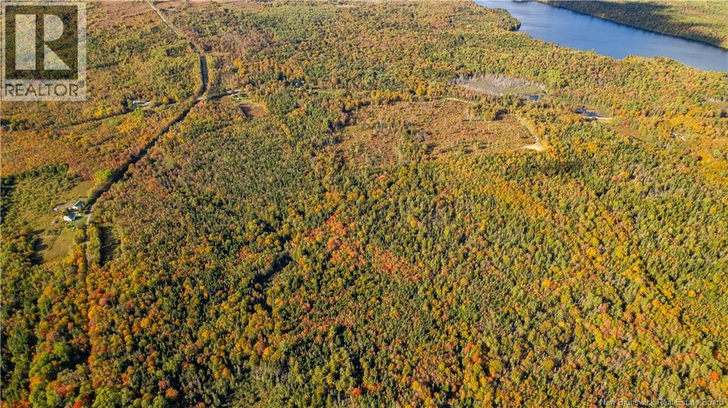 Lot Clatter Road, Rollingdam, New Brunswick  E5A 2Y9 - Photo 35 - NB127781