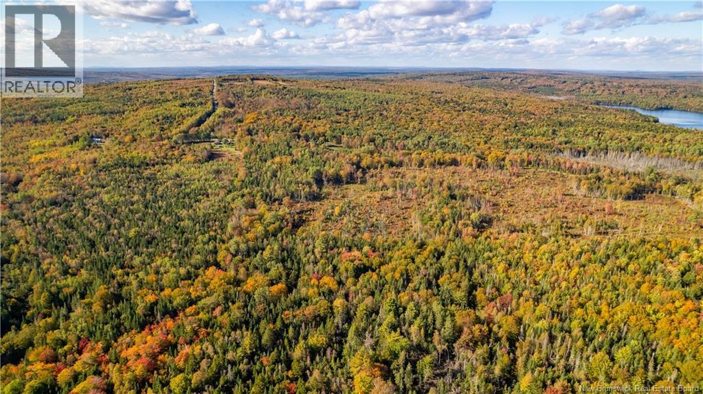 Lot Clatter Road, Rollingdam, New Brunswick  E5A 2Y9 - Photo 18 - NB127781