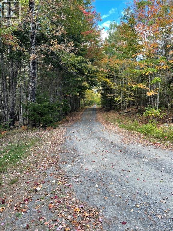 Lot Clatter Road, Rollingdam, New Brunswick  E5A 2Y9 - Photo 7 - NB127781