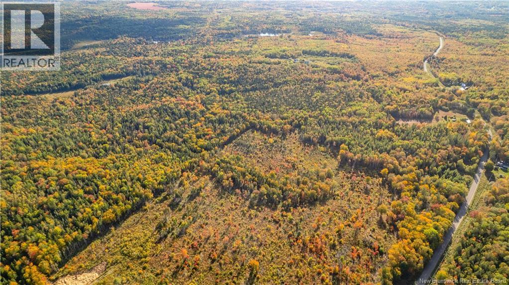 Lot Clatter Road, Rollingdam, New Brunswick  E5A 2Y9 - Photo 39 - NB127781