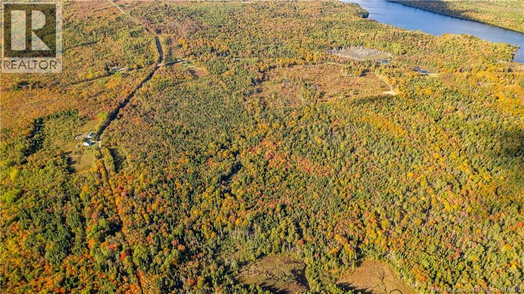 Lot Clatter Road, Rollingdam, New Brunswick  E5A 2Y9 - Photo 34 - NB127781