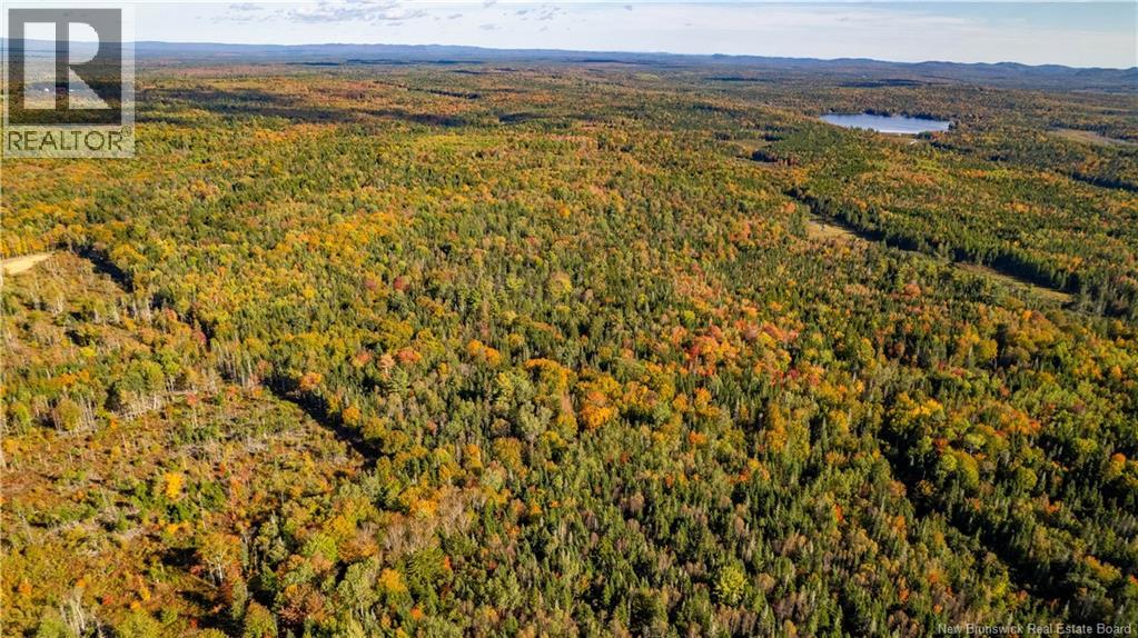 Lot Clatter Road, Rollingdam, New Brunswick  E5A 2Y9 - Photo 15 - NB127781